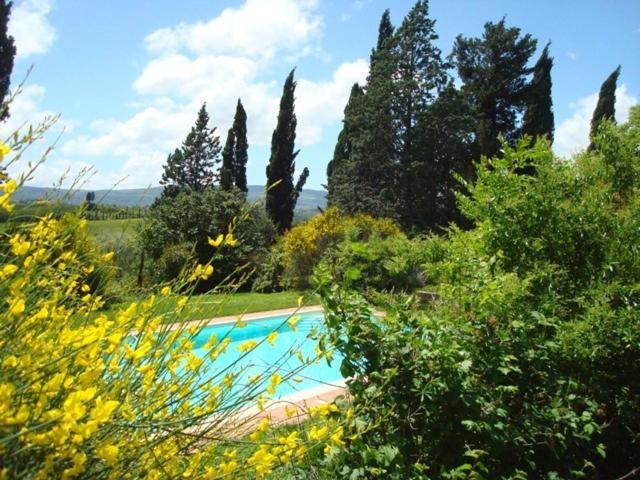 Al Giardino Degli Etruschi Casa de hóspedes Chiusi Quarto foto
